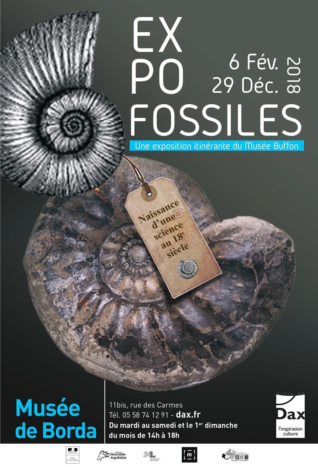 Affiche représentant l'exposition temporaire fossiles de 2018 au musée de Borda